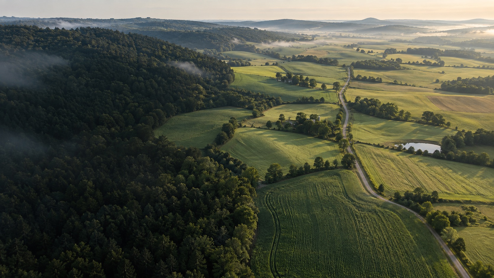 Illustrative aerial landscape of fields and woodland